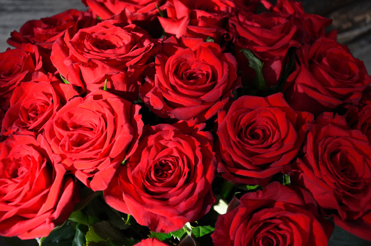 24 Classic Long Reds